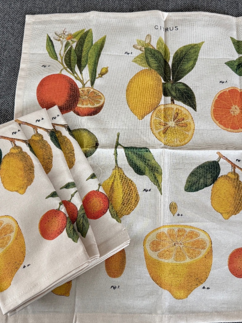 NWT, CAVALLINI & CO, CLOTH NAPKIN SET OF 4 - CITRUS CLOTH